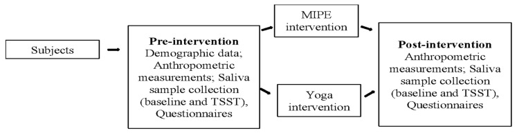The Effects of Moderate-Intensity Physical Exercise and Yoga Interventions on Stress in Hispanic College Students: A Pilot Study.