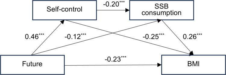 Time Perspective and BMI: The Mediating Roles of Self-Control and Sugar-Sweetened Beverage Consumption.