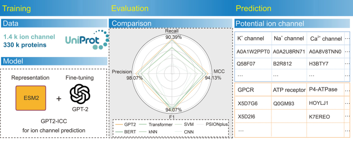 GPT2-ICC: A data-driven approach for accurate ion channel identification using pre-trained large language models.