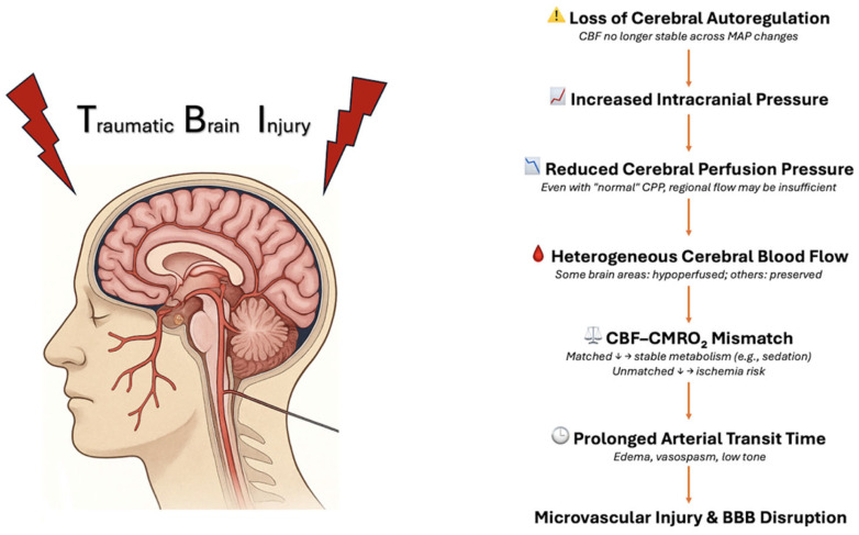 Prognostic Utility of Arterial Spin Labeling in Traumatic Brain Injury: From Pathophysiology to Precision Imaging.