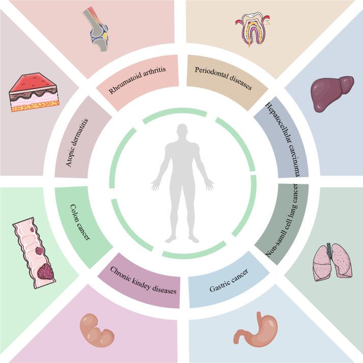 An exhaustive examination of the research progress in identifying potential JAK inhibitors from natural products: a comprehensive overview.