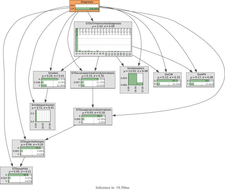 A Machine Learning and Bayesian Belief Network Approach to Predicting Cervical Cancer Risk: Implications for Risk Management.