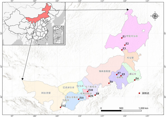 Diversity and environmental drivers of <i>Suillus</i> communities in <i>Pinus sylvestris</i> var. <i>mongolica</i> forests of Inner Mongolia.