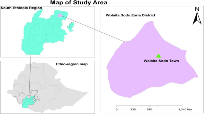 Detection and antimicrobial susceptibility of E. coli O157:H7 in the milk supply chain, milking environments and humans in Woliata Sodo, Ethiopia.