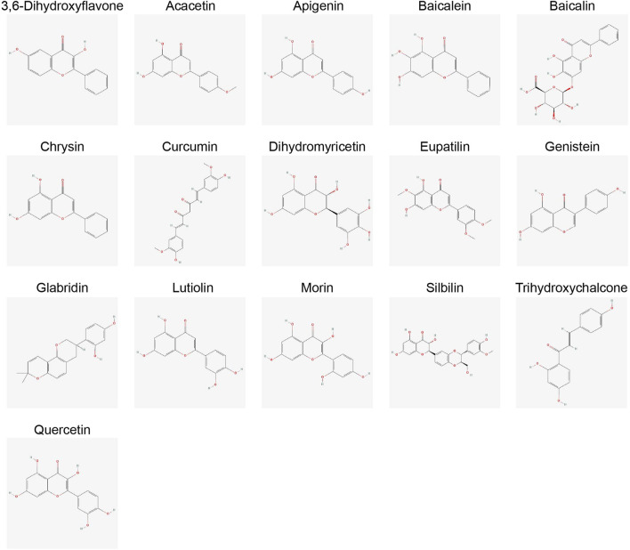 MicroRNAs at the crossroad of cancer therapeutics: insights from WNT signaling & flavonoids.
