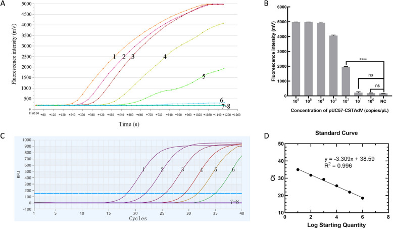 Establishment and comparison of RF-RAA and qPCR for rapid detection of Chinese soft-shelled turtle adenovirus (CSTAdV).