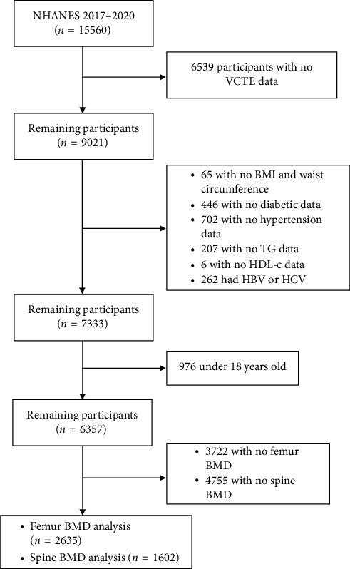 Increased BMD in SLD Patients Without Advanced Hepatic Fibrosis: Evidence From the NHANES 2017-2020 Database.