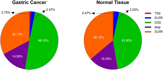 Clinical and prognostic significance of m6A hypomethylation and IGF2BP3 overexpression in gastric cancer: an integrated epigenomic-transcriptomic analysis.