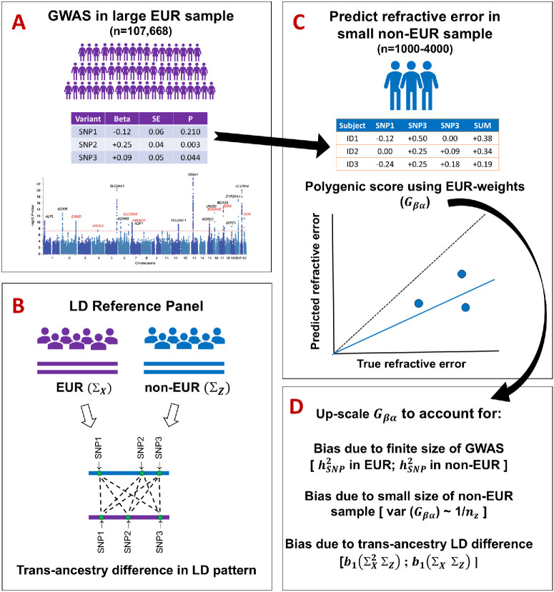 Revisiting the Trans-Ancestry Genetic Correlation of Refractive Error.