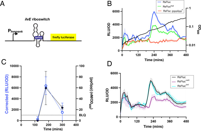 Analysis of (p)ppGpp metabolism and signaling using a dynamic luminescent reporter.