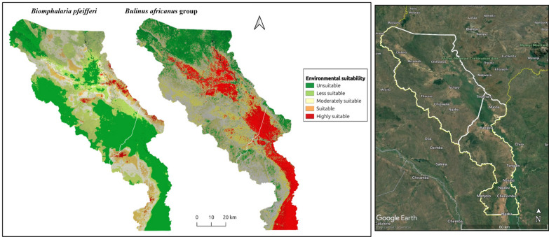 Predicting current habitat suitability for intermediate snail hosts of urogenital and intestinal schistosomiasis in the Lower Shire Valley floodplain of southern Malawi.