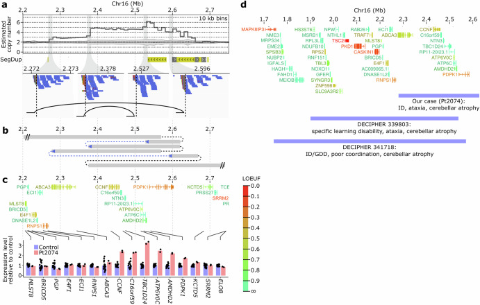 Genome sequencing provides high diagnostic yield and new etiological insights for intellectual disability and developmental delay.