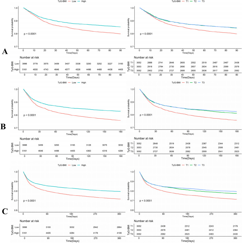 The association between triglyceride glucose-body mass index and mortality in intensive care unit patients: a propensity score matching analysis.