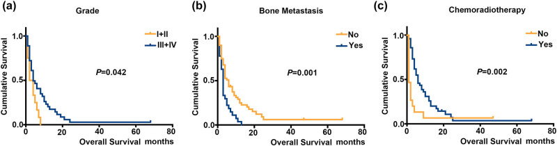 Risk and prognosis for brain metastasis in primary metastatic cervical cancer patients: A population-based study.