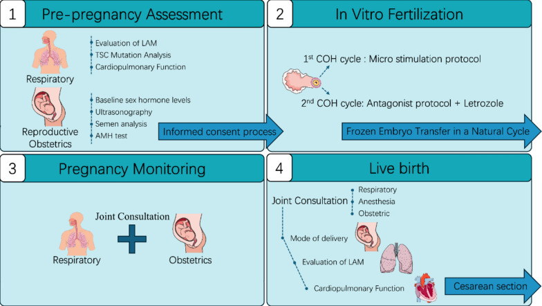 Successful live birth via in vitro fertilization in a patient with lymphangioleiomyomatosis: a case report.