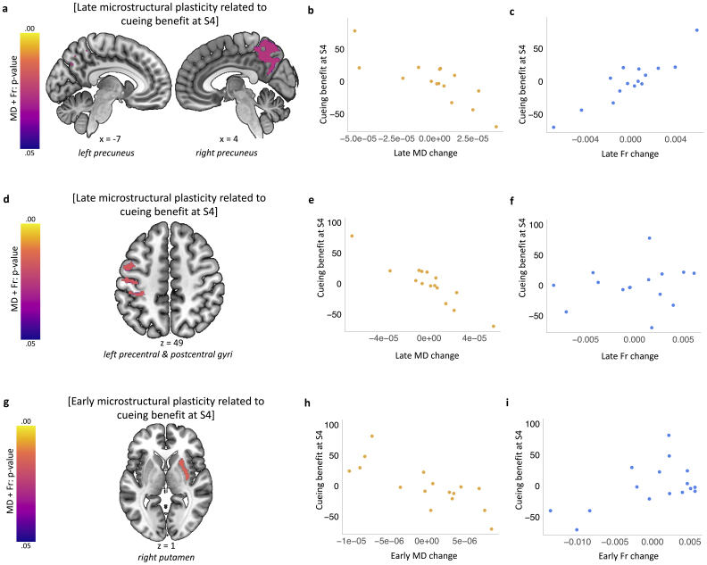 Distributed and gradual microstructure changes are associated with the emergence of behavioural benefit from memory reactivation.