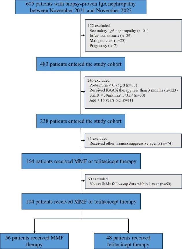 Telitacicept versus mycophenolate mofetil in IgA nephropathy: a real-world comparative study of efficacy, renal outcomes and safety.