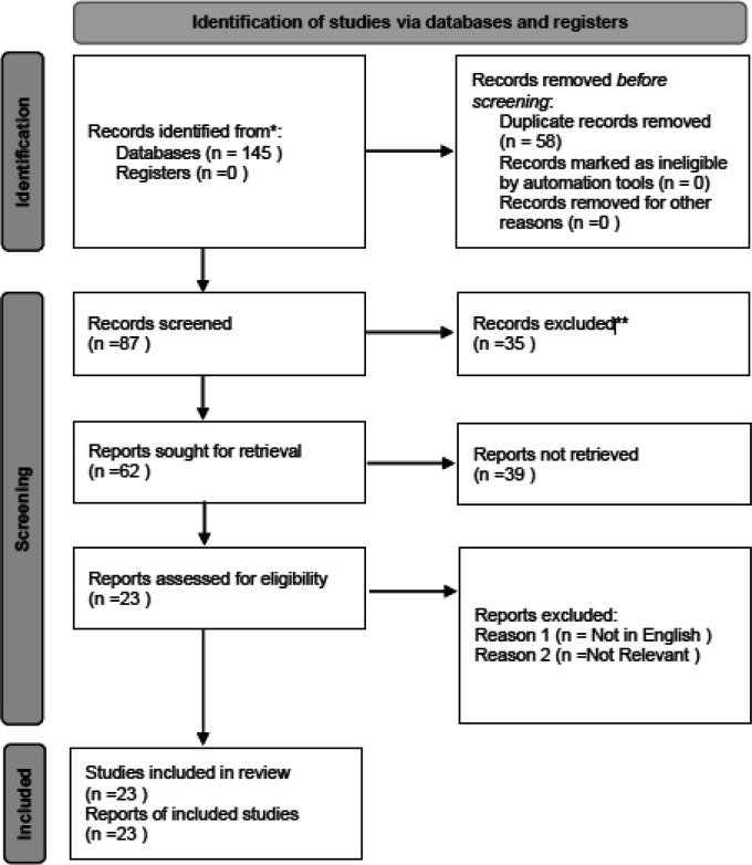 Review the role of oxygen-delivering nanobubbles in stroke therapy: A novel approach.