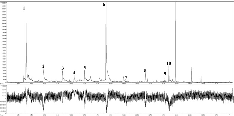 A simplified system for the detection of antennal responses to host-borne volatile organic compounds in sand flies.