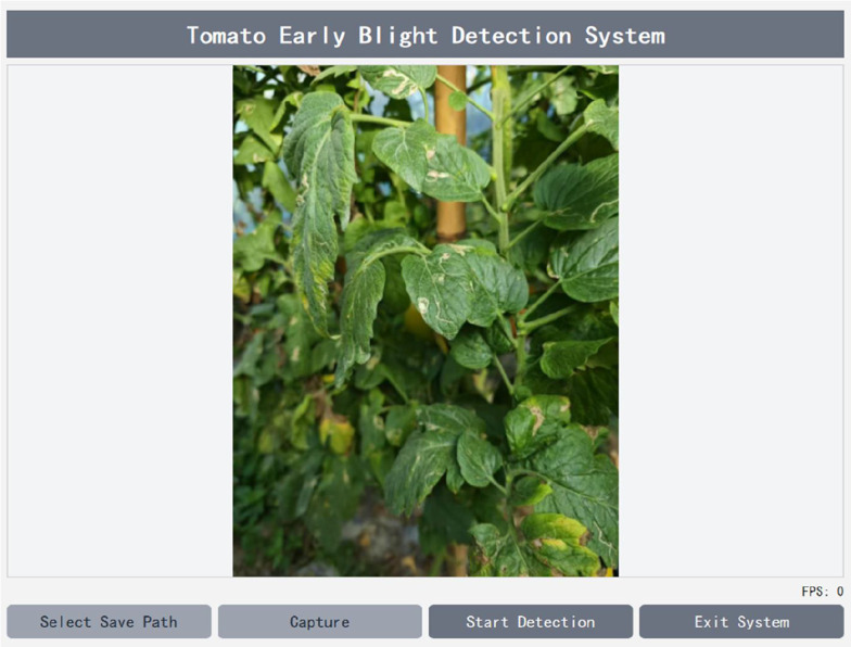 YOLOv11-AIU: a lightweight detection model for the grading detection of early blight disease in tomatoes.