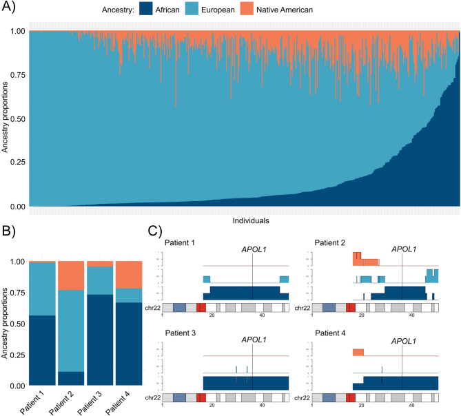 Carrying APOL1 G1 allele is associated with cardiovascular complications during COVID-19 in an admixed population.