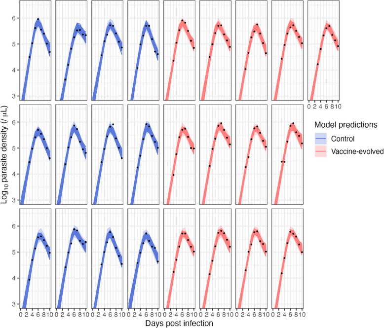 Understanding the traits underlying vaccine-driven virulence evolution in malaria parasites.