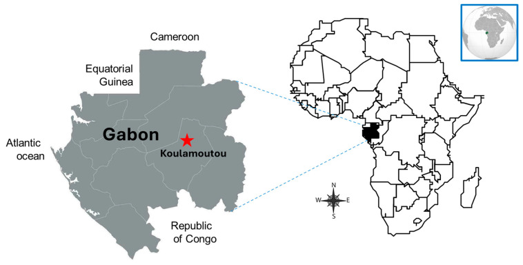The High Prevalence of Oncogenic HPV Genotypes Targeted by the Nonavalent HPV Vaccine in HIV-Infected Women Urgently Reinforces the Need for Prophylactic Vaccination in Key Female Populations Living in Gabon.