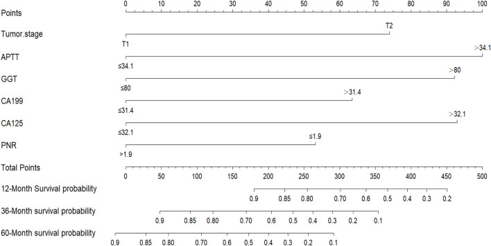 Preoperative serum inflammatory markers in the prognostic assessment of hepatocellular carcinoma resection in stages I/II.