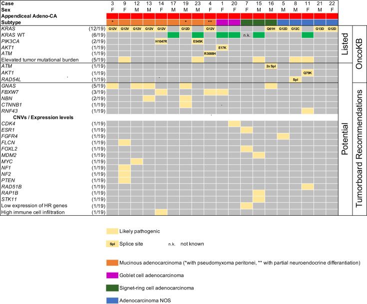 Precision oncology for advanced-stage adenocarcinoma of the appendix: comprehensive molecular characterisation identifies actionable lesions and potential predictive biomarkers.