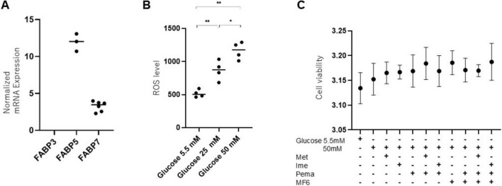 The distinct effects of metformin and imeglimin on high glucose-induced alterations in metabolic function and reactive oxygen species production in mouse Schwann cells are modulated by pemafibrate and/or fatty acid-binding proteins.