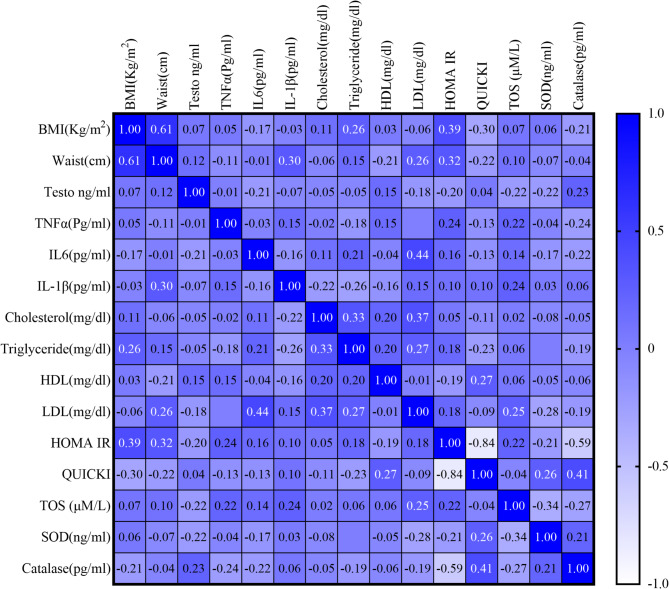 Deciphering the interplay between oxidative stress and inflammation in polycystic ovary syndrome: outcome of a case-control study.