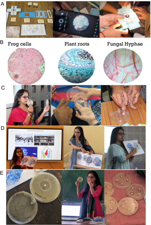 Fostering science awareness through outreach workshops: bridging the gap between science and society.