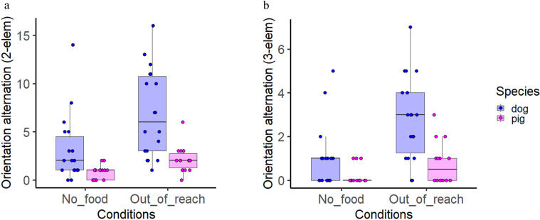 Companion pigs alternate orientation between humans and snout-inaccessible targets.