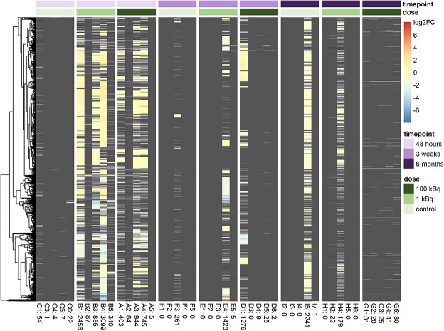 Short and long-term effects on the thyroid proteome after 131I exposure.