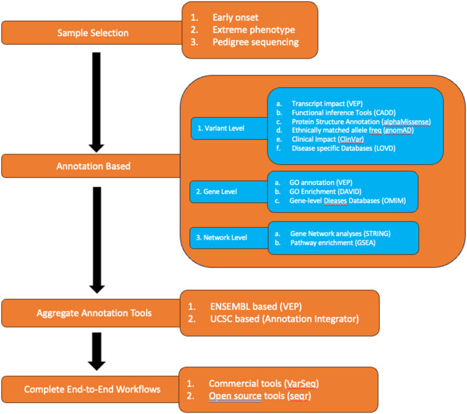Increasing pathogenic germline variant diagnosis rates in precision medicine: current best practices and future opportunities.