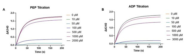 An Optimized Enzyme-Coupled Spectrophotometric Method for Measuring Pyruvate Kinase Kinetics.
