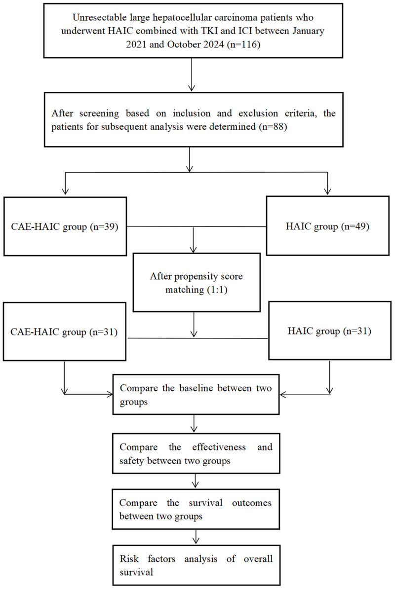 Efficacy and Safety of the Multi-Level Comprehensive Collateral Artery Embolism Sequential Hepatic Arterial Infusion Chemotherapy, Combined with TKI and ICI, for Unresectable Huge Hepatocellular Carcinoma (>10cm): A Propensity Score Matching Cohort Study.