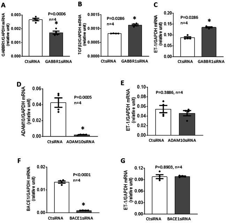 Inactivation of BACE2 stimulates release of endothelin-1 from human brain microvascular endothelial cells.