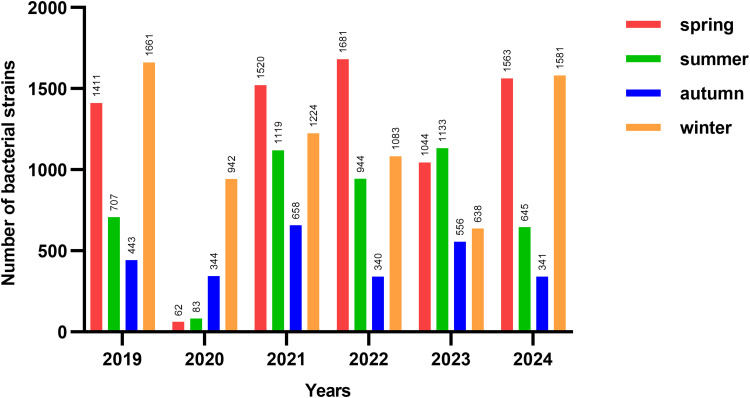 Shifts in Epidemiology and Antibiotic Resistance of Haemophilus Influenzae in Children From Chongqing (2019-2024): Pre-, During, and Post-COVID-19.