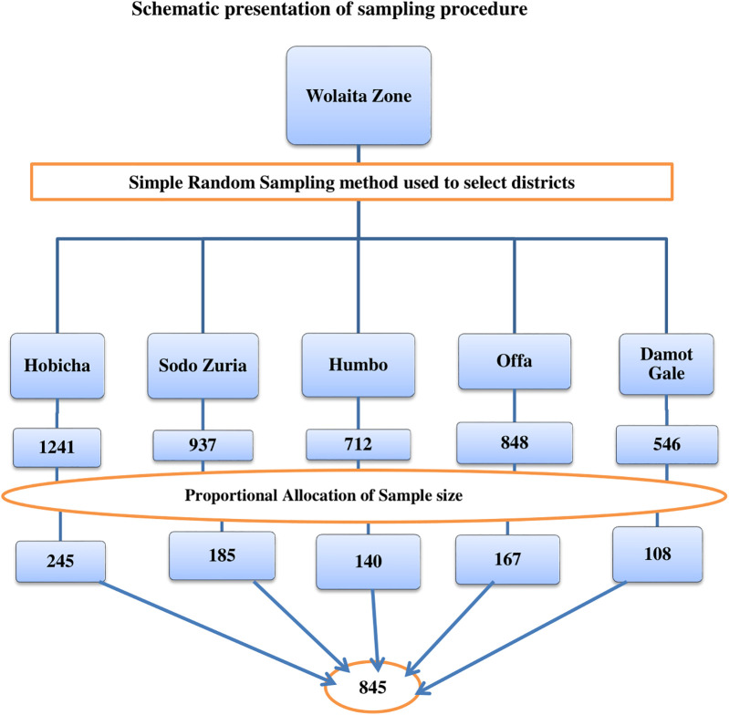 Sexual and reproductive health service utilization among patients with podoconiosis in Wolaita Zone, South Ethiopia: a multilevel mixed-effect analysis.