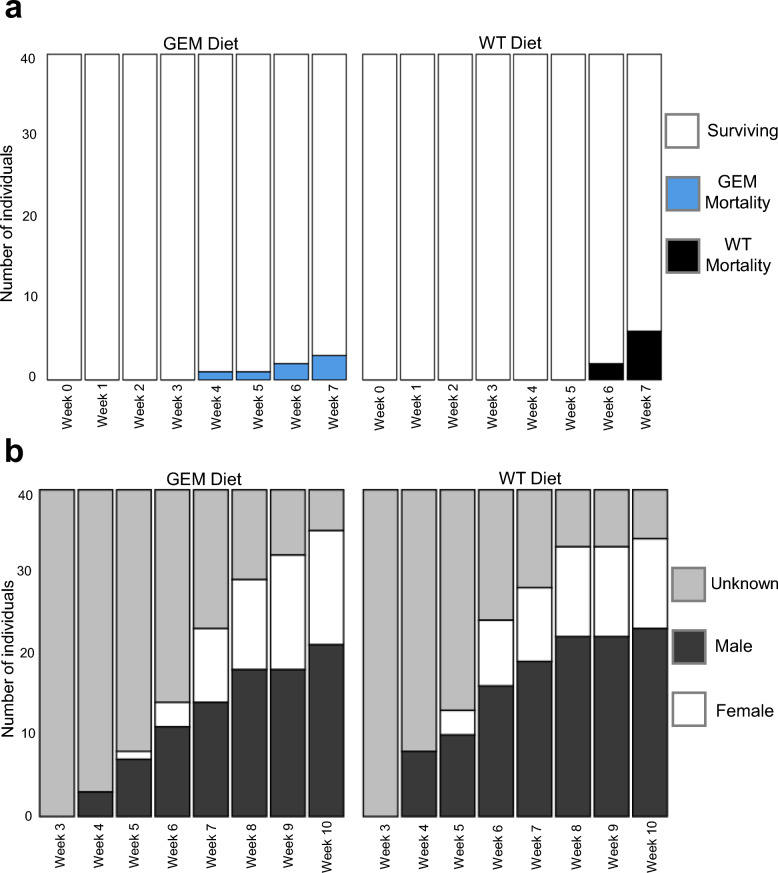 Growth and development of two predator species fed a diet of genetically engineered mosquitoes.