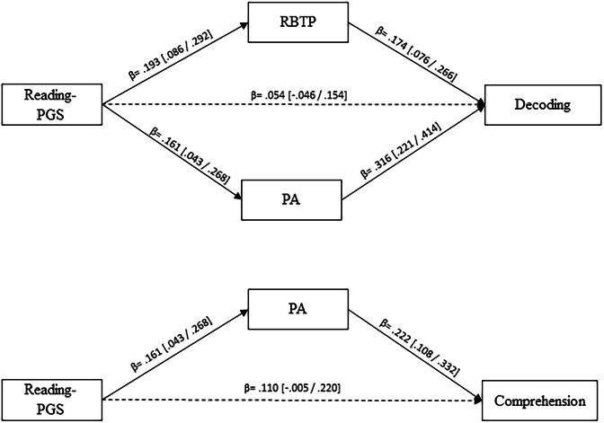 Mediational effects of reading-related intermediate phenotypes from polygenic scores to reading skills.