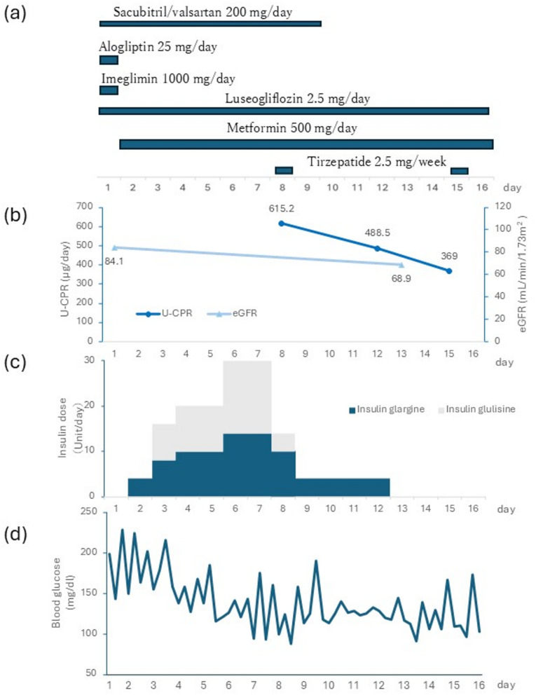 The effect of sacubitril/valsartan on urinary C-peptide excretion and endogenous insulin secretory capacity in a patient with type 2 diabetes: a case report.