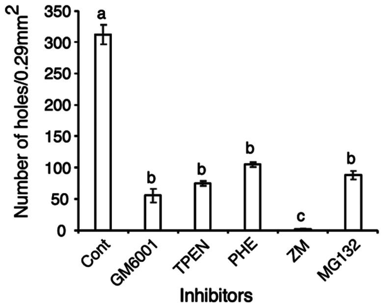 Expression, Localization, and Processing of Chicken Sperm ADAM32L2 during the Acrosome Reaction: A Possible Function in the Sperm-Egg Interaction.