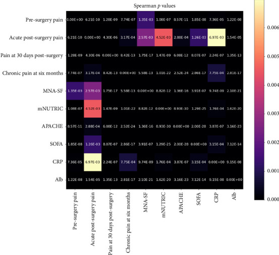 Bridging the Gap: The Impact of Preoperative Nutritional Status and Inflammation in Postoperative Pain in Elderly Patients.