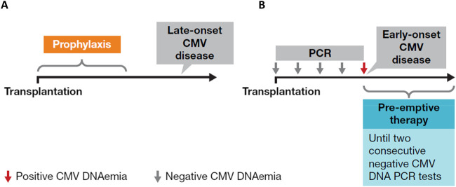 Advancements in Cytomegalovirus Management Among Solid Organ Transplant Recipients: Insights From the ESOT CMV Workshop 2023.