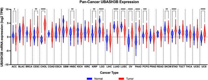 Investigating the role of UBASH3B in cancer: structural relevance, physiological functions, and therapeutic possibilities.