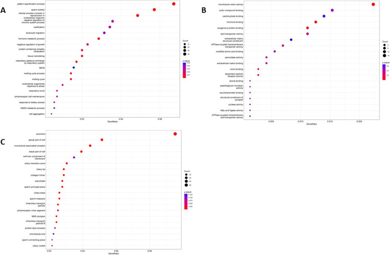 Atypical mesenchyme in congenital pulmonary airways malformation: a promising new focus.
