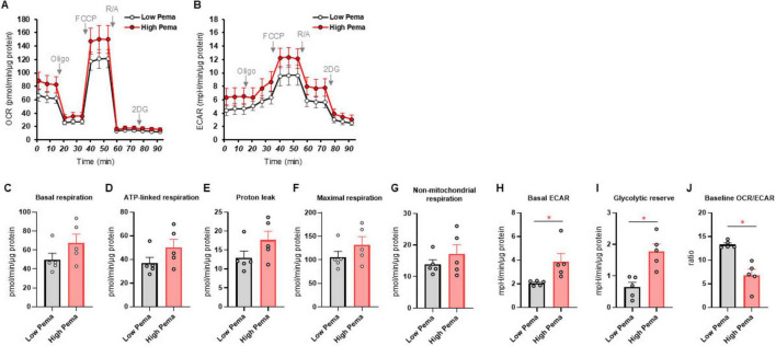 The distinct effects of metformin and imeglimin on high glucose-induced alterations in metabolic function and reactive oxygen species production in mouse Schwann cells are modulated by pemafibrate and/or fatty acid-binding proteins.