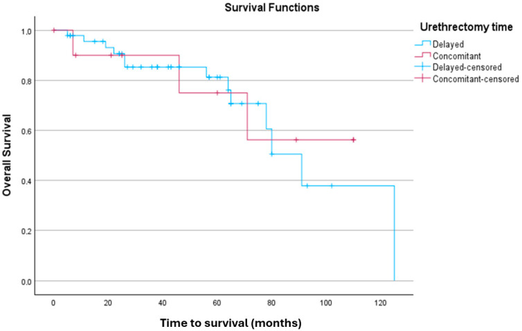 Delayed vs. Concomitant Urethrectomy for Non-Metastatic Urothelial Carcinoma of the Urinary Bladder Undergoing Radical Cystectomy: Perioperative and Survival Outcomes from a Single Tertiary Centre in the United Kingdom.